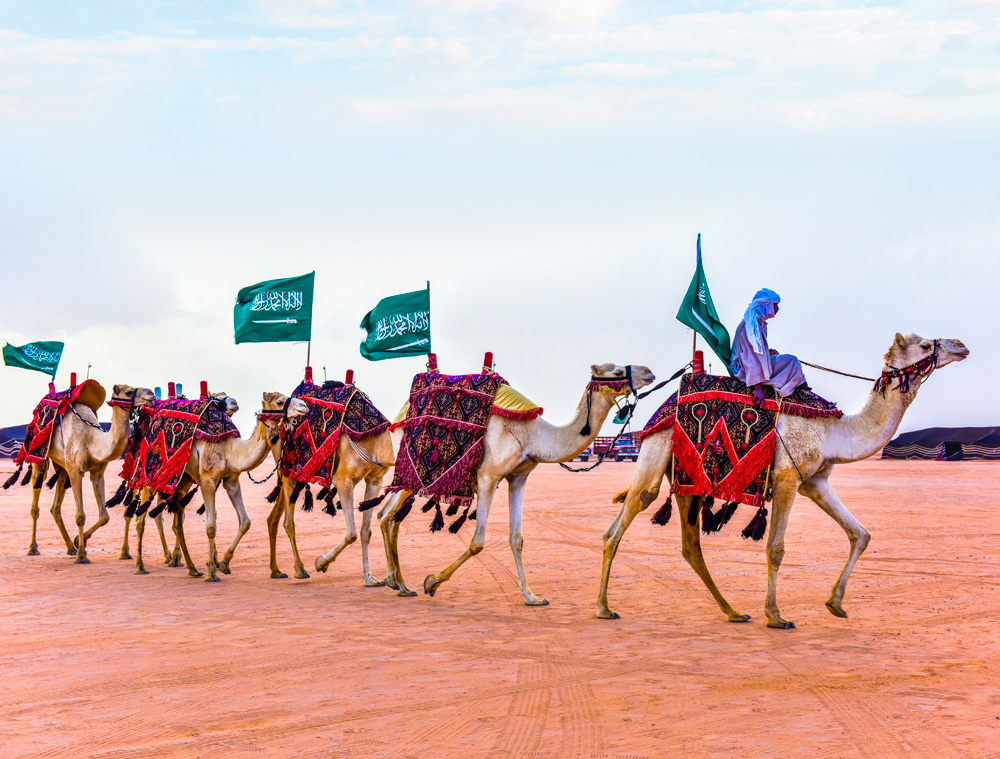 Saudi Arabia Hosts World's Biggest Camel Festival | About Her