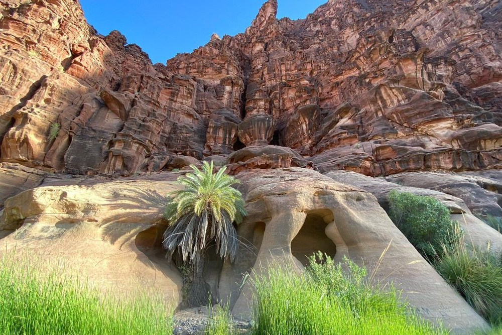 Discover The Outstanding Al Disah Valley in Saudi Arabia | About Her