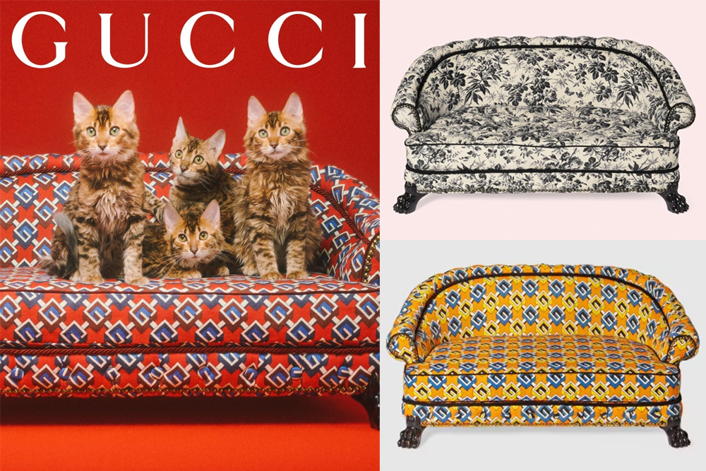 Gucci previews first ever pet collection 