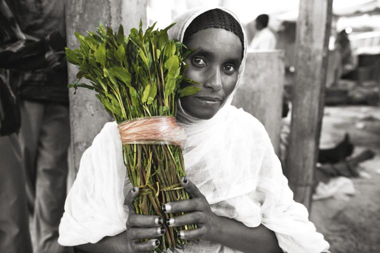 Chewing Yemen's Paradise Leaves About Her