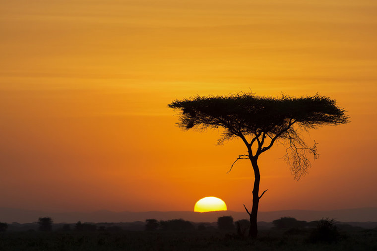 Mama Africa: Sunrise Silhouettes Never Looked So Stunning | About Her