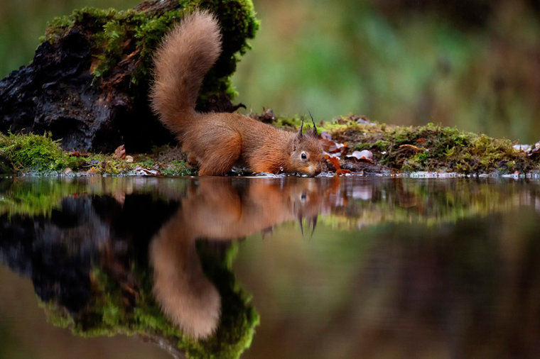 25 Photos That Show How Enchanting Animals Can Be | About Her